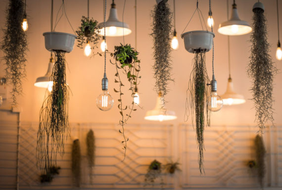 Decorative lighting installation